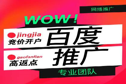 SEM代运营推广公司案例，揭秘高效广告投放策略