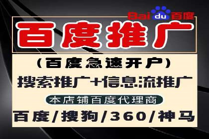 百度竞价托管外包案例：打造行业领军品牌